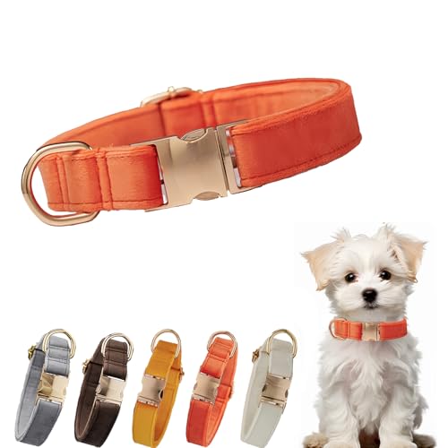 Samt-Hundehalsband, verstellbare Metallschnalle, Halsband für kleine, mittelgroße und große Hunde, verstellbar, für Hochzeit, Party, Laufen, Training, Spazierengehen (Orange, M) von YUEYINGMG