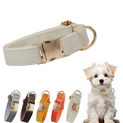 Samt-Hundehalsband, verstellbare Metallschnalle, Halsband für kleine, mittelgroße und große Hunde, verstellbar, für Hochzeit, Party, Laufen, Training, Spazierengehen (Weiß, M) von YUEYINGMG