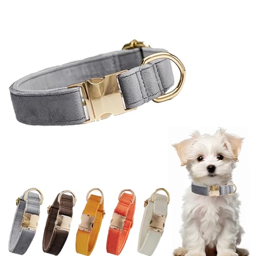 Samt-Hundehalsband, verstellbare Metallschnalle, Halsband für kleine, mittelgroße und große Hunde, weiß, verstellbare Hundehalsbänder für Hochzeit, Party, Laufen, Training, Spazierengehen (Grau, S) von YUEYINGMG