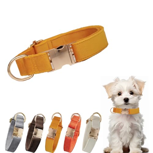 Samt-Hundehalsband, verstellbare Metallschnalle, Halsband für kleine, mittelgroße und große Hunde, weiß, verstellbare Hundehalsbänder für Hochzeit, Party, Laufen, Training, Spazierengehen (Gelb, XS) von YUEYINGMG