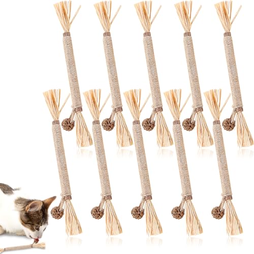 YUFFQOPC 10 Stück Matatabi Katzensticks,Katzensticks Zur Zahnreinigung Kausticks Set Katzenminze Spielzeug Matatabi Stick Katzenminze Sticks Zum Schleifen von Zähnen Für Katze Zu Spielen Beißen Kauen von YUFFQOPC