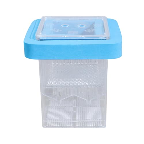 Aquarium Breeder Box Für Fishtank Breeding Inkubator Fisch Brüterei Fisch Laich Box Trennpanzer Acryl Hatchery Container Aquarium Breeder Box Für Fishtank Breeding Inkubator Fisch Brüterei Fisch Laich Box Trennpanzer Acryl Hatchery Container von YUGSHNKFC
