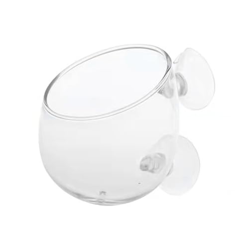Glas-Pflanzbecher mit Saugnäpfen für Wasserpflanzen, Aquarien, Landschaftspflanzenhalter Glas-Pflanzbecher mit Saugnäpfen für Wasserpflanzen, Aquarien, Landschaftspflanzenhalter von YUGSHNKFC