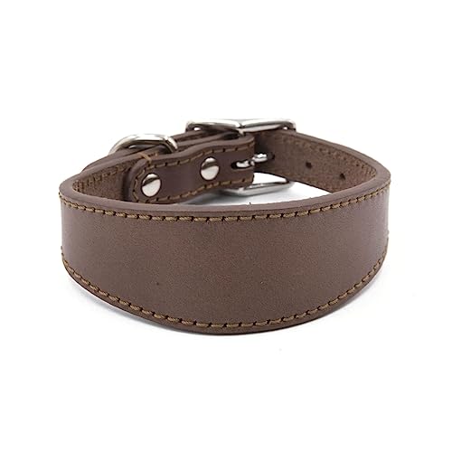 Hundehalsband aus weichem Leder, verstellbar, für Spaziergänge im Freien, Lurcher, Windhunde, Welpenhalsband, Haustierzubehör Hundehalsband aus weichem Leder, verstellbar, für Spaziergänge im Freien, Lurcher, Windhunde, Welpenhalsband, Haustierzubehör von YUGSHNKFC