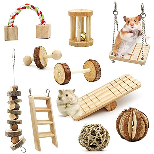 YUGSHNKFC 10 Pack Kauenspielzeug Für Kleine Haustiere Zähne Saubere Holzblöcke Schwingen Seegraskugel Leiter Für Kaninchen Hamster Rennmäuse von YUGSHNKFC