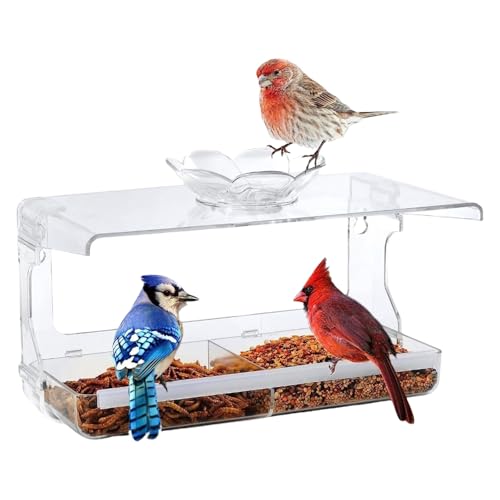 YUGSHNKFC Clear Fenster Montierter Vogelhäuschen Mit Starker Saugnapfbecher Fütterungsstation Zum Beobachten Einer Einfachen Installation ABS Feeder Für Wilde Vögel YUGSHNKFC Clear Fenster Montierter Vogelhäuschen Mit Starker Saugnapfbecher Fütterungsstation Zum Beobachten Einer Einfachen Installation ABS Feeder Für Wilde Vögel von YUGSHNKFC