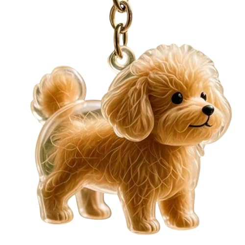 YUGSHNKFC Clear Hunde Haarspeicher Charme Schlüsselkain Memorial Schmuck Haustier Pelzen Sammler Ansichten Für Tierbesitzer Kensionses Geschenkliebhaber Anpassbare Gedenkschmuck von YUGSHNKFC
