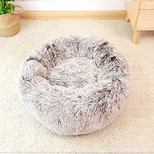 YUGSHNKFC Hundebett für kleine Hunde für Katzenbetten für Indoor-Katzen, rund, beruhigendes Haustierbett, weiches Plüschbett YUGSHNKFC Hundebett für kleine Hunde für Katzenbetten für Indoor-Katzen, rund, beruhigendes Haustierbett, weiches Plüschbett von YUGSHNKFC