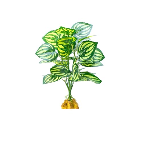 YUGSHNKFC Reptilien Habitats Dekoration Einsiedler Lebensraum Pflanze Realistische Terrarien Pflanze für Reptilien Terrarien von YUGSHNKFC