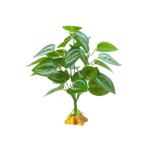 YUGSHNKFC Reptilien Habitats Dekoration Einsiedler Lebensraum Pflanze Realistische Terrarien Pflanze für Reptilien Terrarien von YUGSHNKFC