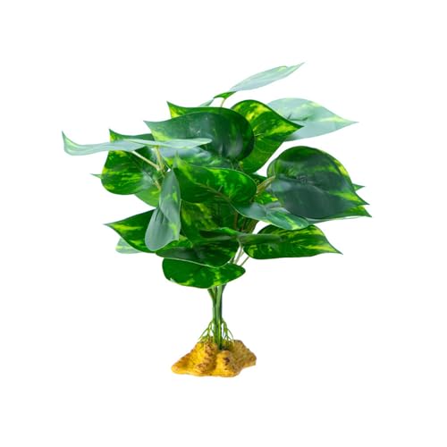 YUGSHNKFC Reptilien Habitats Dekoration Einsiedler Lebensraum Pflanze Realistische Terrarien Pflanze für Reptilien Terrarien von YUGSHNKFC