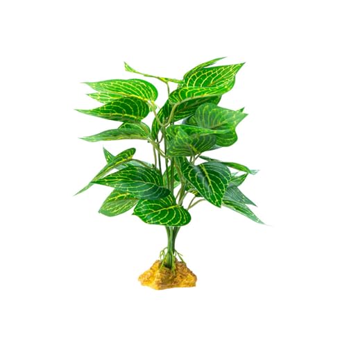 YUGSHNKFC Reptilien Habitats Dekoration Einsiedler Lebensraum Pflanze Realistische Terrarien Pflanze für Reptilien Terrarien von YUGSHNKFC