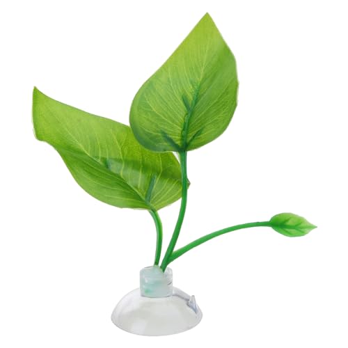 YUGSHNKFC Saugnapfbecher Blattpolster Rastendes Bett Bettafisch Hängemattenbett Fischtank Laichen Laichen Blattpolster Liefert Aquarien Dekorationen YUGSHNKFC Saugnapfbecher Blattpolster Rastendes Bett Bettafisch Hängemattenbett Fischtank Laichen Laichen Blattpolster Liefert Aquarien Dekorationen von YUGSHNKFC