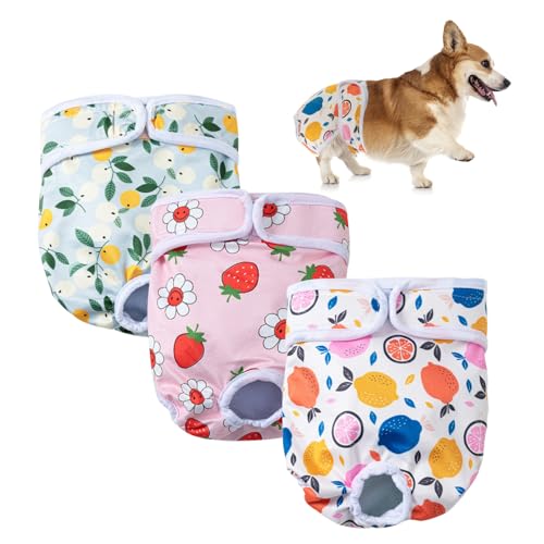 3 Stück Waschbare Hundewindeln, Wiederverwendbare Windeln, Hoch saugfähige Hundeunterhosen, Höschen für lange Reisen (S:35-42cm) von YUMIPDD
