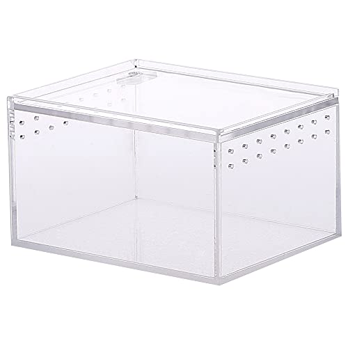 Terrarium Box, Reptilienzuchtbox, Fütterungsbox, Transparent Acryl Terrarium BehälterFür Spide, Eidechse, Skorpion, Tausendfüßler, Gehörnter Frosch, Käfer Terrarium Box, Reptilienzuchtbox, Fütterungsbox, Transparent Acryl Terrarium BehälterFür Spide, Eidechse, Skorpion, Tausendfüßler, Gehörnter Frosch, Käfer von Ktnyl