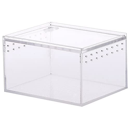 Terrarium Box, Reptilienzuchtbox, Fütterungsbox, Transparent Acryl Terrarium BehälterFür Spide, Eidechse, Skorpion, Tausendfüßler, Gehörnter Frosch, Käfer von Ktnyl