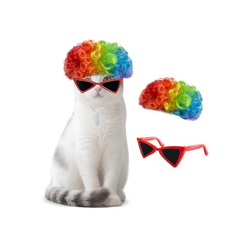 Buntes Haustier-Haarteil für Hunde und Katzen, Urlaub, Cosplay, Kostüm, lustige Kopfbedeckung, Haustierhaarteil mit Brille Buntes Haustier-Haarteil für Hunde und Katzen, Urlaub, Cosplay, Kostüm, lustige Kopfbedeckung, Haustierhaarteil mit Brille von YUNGLOO