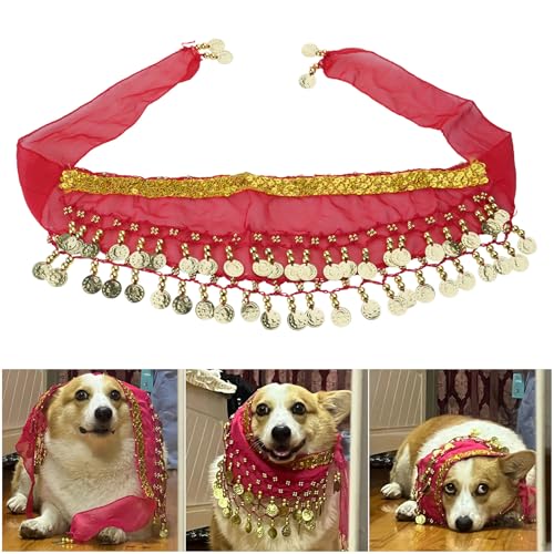 Funkelndes Pailletten-Bauchtanz-Kostüm, Hüftschal für Hunde, verstellbarer Bauchtanzrock, bequeme Haustierkleidung, Festival, Hundekostüm, Taillenzubehör von YUNGLOO
