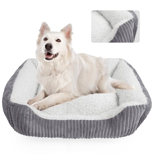 YUNIQUE Großes Hundebett – Plüschkord, rutschfeste Unterseite, weich und gemütlich für Hunde (Beige, L) von YUNIQUE