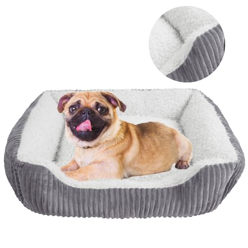 YUNIQUE Großes Hundebett – Plüschkord, rutschfeste Unterseite, weich und gemütlich für Hunde (Beige, M) von YUNIQUE