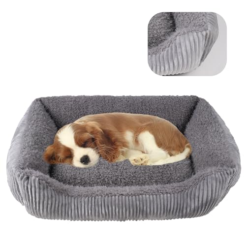 YUNIQUE Großes Hundebett – Plüschkord, rutschfeste Unterseite, weich und gemütlich für Hunde (grau, klein) von YUNIQUE