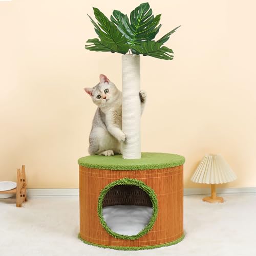 Katzenkratzbaum 81,3 cm mit Katzenhaus für Indoor-Katzen und Erwachsene, hoher Kratzbaum für große Katzen, Katzenkratzbaum von YUNLINLI