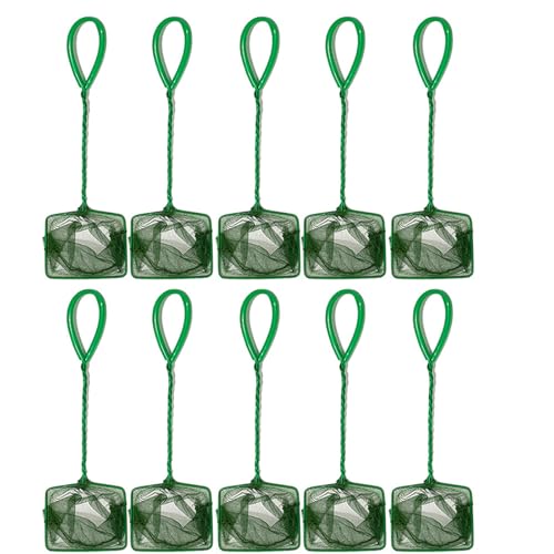 YUNNIAN 10pcs Aquariums Fischnetz Schaufel Tool Für Sichere Fang Und Fischtank Reinigung Mit Ergonomisch YUNNIAN 10pcs Aquariums Fischnetz Schaufel Tool Für Sichere Fang Und Fischtank Reinigung Mit Ergonomisch von YUNNIAN