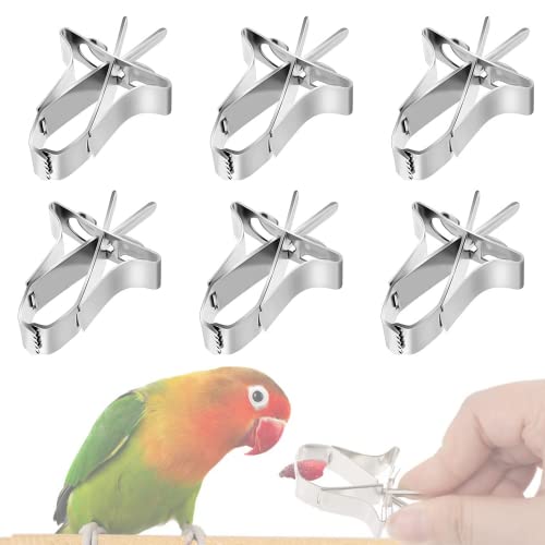 6 Stück Vogelfutterhalter für Haustiere, Papageien, Futterstation, Obst, Gemüse, Clip, Futterstation, Tintenfisch, Gerät, Klemme für Vogel, Hamster, Nymphensittiche, Papageien, kleine Tiere 6 Stück Vogelfutterhalter für Haustiere, Papageien, Futterstation, Obst, Gemüse, Clip, Futterstation, Tintenfisch, Gerät, Klemme für Vogel, Hamster, Nymphensittiche, Papageien, kleine Tiere von YUNSHANGHT