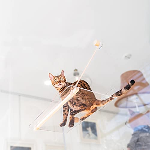 YUR Hochwertige, transparente Katzenhängematte aus robustem Acryl, für den Innenbereich, 360° Sonnenbad, Fensterbank, platzsparendes Katzenregal, Haustierbett zum Aufhängen von YUR