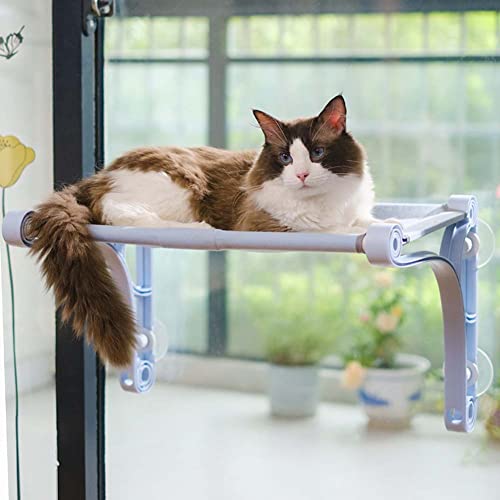 YUR Platzsparende Katzen-Fenster-Sitzstange mit 2 Verwendungsmöglichkeiten, sichere Katzen-Fenster-Hängematte, für kleine und große Katzen, montiertes Katzenbett, hält bis zu 22,7 kg von YUR
