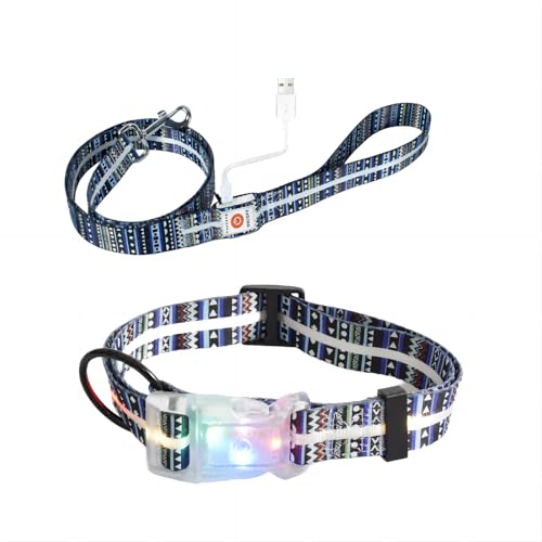Leuchtende Hundeleine, LED-Hundeleine, wiederaufladbar, wasserdicht, Sicherheit leuchtet im Dunkeln, Hundeleine für nächtliche Spaziergänge, Polyesterband, leuchtende Hundeleine (Böhmisches Blau + von YUSHANG