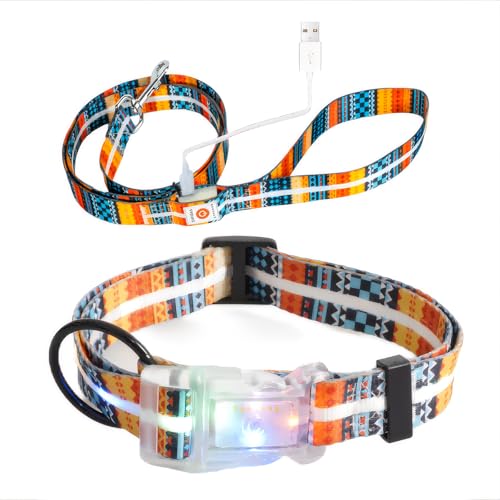 Leuchtende Hundeleine, LED-Hundeleine, wiederaufladbar, wasserdicht, Sicherheit leuchtet im Dunkeln, Hundeleine für nächtliche Spaziergänge, Polyesterband, leuchtende Hundeleine (Bohemian-Orange + von YUSHANG