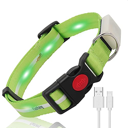 YUSHANG LED Hundehalsband,Blinkendes LED Hundehalsband Wiederaufladbares Wasserdicht,Für Halsumfang 15-24Zoll Verstellbares Beleuchtetes Hundehalsband (Grün) von YUSHANG