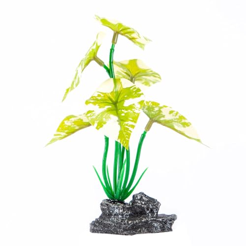 YUTNGYNG Dekorative Künstliche Grüne Pflanze Mit Harzbasis Für Fishtanks Home Office Nutzung Aquarien Landschaft Unterwasser Accessoire Künstliche Aquarien Pflanze YUTNGYNG Dekorative Künstliche Grüne Pflanze Mit Harzbasis Für Fishtanks Home Office Nutzung Aquarien Landschaft Unterwasser Accessoire Künstliche Aquarien Pflanze von YUTNGYNG