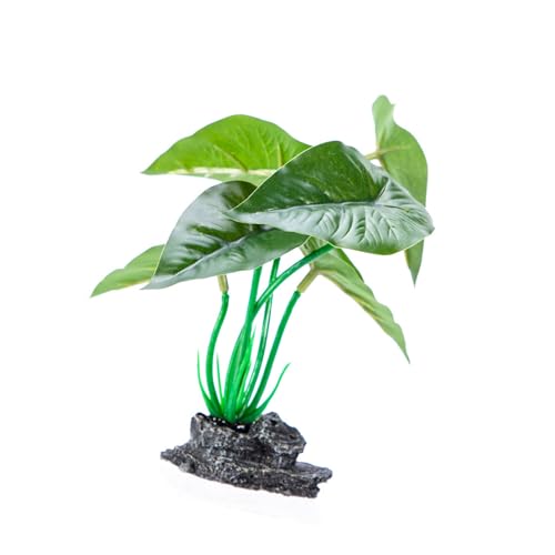 YUTNGYNG Dekorative Künstliche Grüne Pflanze Mit Harzbasis Für Fishtanks Home Office Nutzung Aquarien Landschaft Unterwasser Accessoire Künstliche Aquarien Pflanze YUTNGYNG Dekorative Künstliche Grüne Pflanze Mit Harzbasis Für Fishtanks Home Office Nutzung Aquarien Landschaft Unterwasser Accessoire Künstliche Aquarien Pflanze von YUTNGYNG