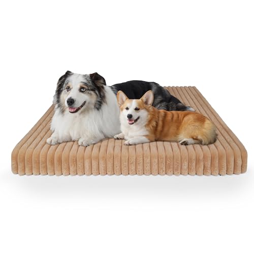 YUUHENG Chicute Wasserdichtes orthopädisches XXL-Hundebett, Eierschaum-stützendes Hundebett mit waschbarem Bezug, Cord-Fleece, superweiches Haustierbett, Möbel für drinnen (119,4 x 73,7 cm, Braun) YUUHENG Chicute Wasserdichtes orthopädisches XXL-Hundebett, Eierschaum-stützendes Hundebett mit waschbarem Bezug, Cord-Fleece, superweiches Haustierbett, Möbel für drinnen (119,4 x 73,7 cm, Braun) von YUUHENG