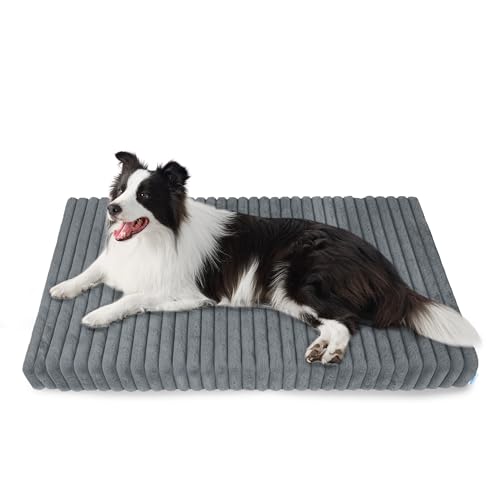 YUUHENG Chicute Wasserdichtes orthopädisches großes Hundebett, Eierschaum-stützendes Hundebett mit waschbarem Bezug, Cord-Fleece, superweiches Haustierbett, Möbel für drinnen (91,4 x 68,6 cm, Grau) YUUHENG Chicute Wasserdichtes orthopädisches großes Hundebett, Eierschaum-stützendes Hundebett mit waschbarem Bezug, Cord-Fleece, superweiches Haustierbett, Möbel für drinnen (91,4 x 68,6 cm, Grau) von YUUHENG