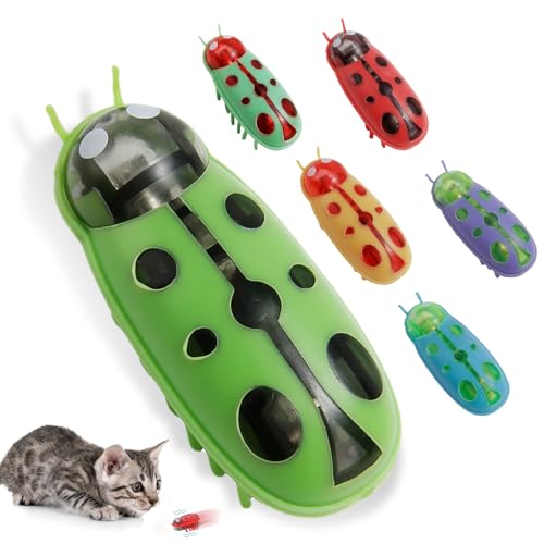 6 Stück Mini Käfer Elektrischer Käfer Katzenspielzeug Marienkäfer Spielzeug KäferKatzenspielzeug Interaktive Wanze Katzenspielzeug Käfer Haustier Lustiges Spielspielzeug für Katzen Kätzchen Training von YUWJOOWEE