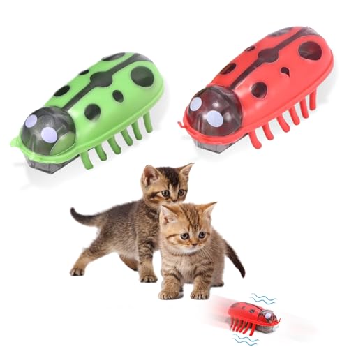 Mini Käfer, 2 Stück Käfer Katzenspielzeug Elektrischer Käfer Katzenspielzeug Marienkäfer Spielzeug Interaktive Wanze KatzenspielzeugKäfer Haustier Lustiges Spielspielzeug für Katzen Kätzchen Training von YUWJOOWEE