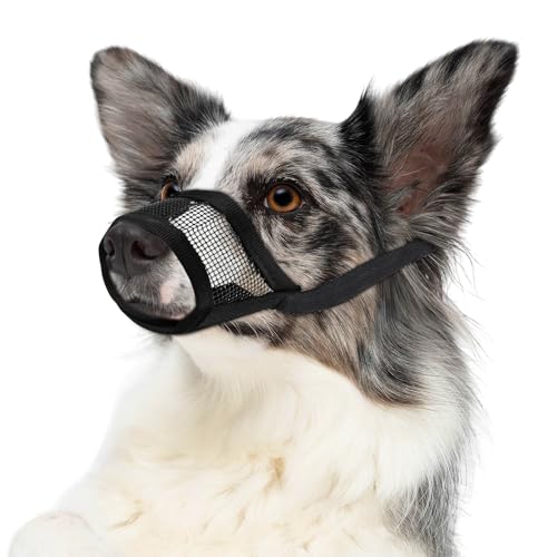 YUXIANLB 1 x Maulkorb für Hunde, weicher Netz-Maulkorb für mittelgroße Hunde, weicher Air-Mesh-Haustier-Maulkorb, Anti-Bellen, Kau-Maulkorb, verstellbarer Hundemaulkorb, atmungsaktive YUXIANLB 1 x Maulkorb für Hunde, weicher Netz-Maulkorb für mittelgroße Hunde, weicher Air-Mesh-Haustier-Maulkorb, Anti-Bellen, Kau-Maulkorb, verstellbarer Hundemaulkorb, atmungsaktive von YUXIANLB