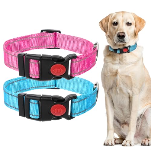 YUXIANLB Reflektierende Hundehalsbänder mit Sicherheitsschnalle, gepolstert, atmungsaktiv, verstellbar, für kleine, mittelgroße und große Hunde, Katzen, Welpen, Haustiere, Zubehör, Blau, Hotpink, 2 YUXIANLB Reflektierende Hundehalsbänder mit Sicherheitsschnalle, gepolstert, atmungsaktiv, verstellbar, für kleine, mittelgroße und große Hunde, Katzen, Welpen, Haustiere, Zubehör, Blau, Hotpink, 2 von YUXIANLB