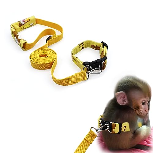 Bauchbänder und passende Leine für Marmoset Affen mit verstellbarer Schnalle, Taillenumfang weniger als 20,3 cm, bequem, waschbar, langlebig von YUYUSO