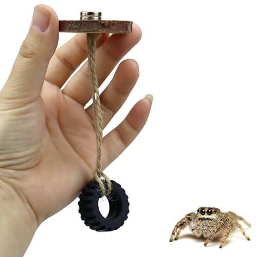 Springende Spinnenschaukel mit Magneten für Spoods Haustierspinne Springspinne Verstecke Springspinne Gehege Zubehör 2 Stück Springende Spinnenschaukel mit Magneten für Spoods Haustierspinne Springspinne Verstecke Springspinne Gehege Zubehör 2 Stück von YUYUSO