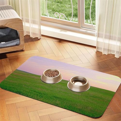 A Hill Futtermatte für Hunde und Katzen, mit grünem Gras, saugfähig, Leder, Tischdecke für Wassernapf, wasserdicht, keine Flecken, schnell trocknend, rutschfest, 60 x 40 cm A Hill Futtermatte für Hunde und Katzen, mit grünem Gras, saugfähig, Leder, Tischdecke für Wassernapf, wasserdicht, keine Flecken, schnell trocknend, rutschfest, 60 x 40 cm von YVNKHKU