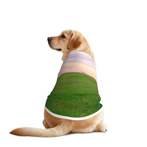 A Hill Hundehemd mit grünem Gras bedeckt, atmungsaktiv, kühlend für große Hunde, Sonnenschutz, Komfort für Golden Retriever, Husky, Alaska, Outdoor-Aktivitäten, Größe 5XL A Hill Hundehemd mit grünem Gras bedeckt, atmungsaktiv, kühlend für große Hunde, Sonnenschutz, Komfort für Golden Retriever, Husky, Alaska, Outdoor-Aktivitäten, Größe 5XL von YVNKHKU