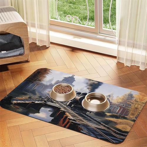 Chestnut Train Haustier-Futtermatte für Hunde und Katzen, saugfähig, Leder, Tischdecke für Wassernapf, wasserdicht, keine Flecken, schnell trocknend, rutschfest, 45 x 30 cm von YVNKHKU