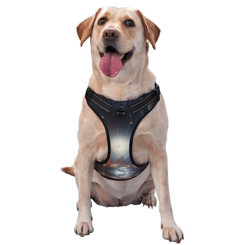 Eternal Ball Premium-Hundegeschirr für kleine, mittelgroße und große Hunde, langlebig, kein Ziehen, mit reflektierenden Riemen und Schnellverschluss-Schnallen, Größe L Eternal Ball Premium-Hundegeschirr für kleine, mittelgroße und große Hunde, langlebig, kein Ziehen, mit reflektierenden Riemen und Schnellverschluss-Schnallen, Größe L von YVNKHKU