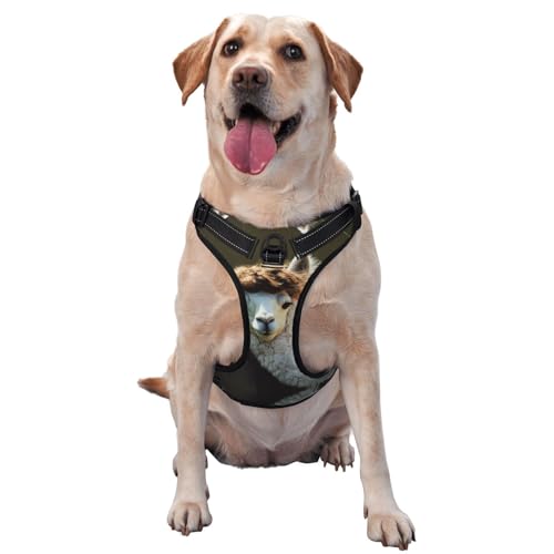 Fashion icon Premium-Hundegeschirr für kleine, mittelgroße und große Hunde, langlebig, kein Ziehen, mit reflektierenden Riemen und Schnellverschluss-Schnallen, Größe XL Fashion icon Premium-Hundegeschirr für kleine, mittelgroße und große Hunde, langlebig, kein Ziehen, mit reflektierenden Riemen und Schnellverschluss-Schnallen, Größe XL von YVNKHKU