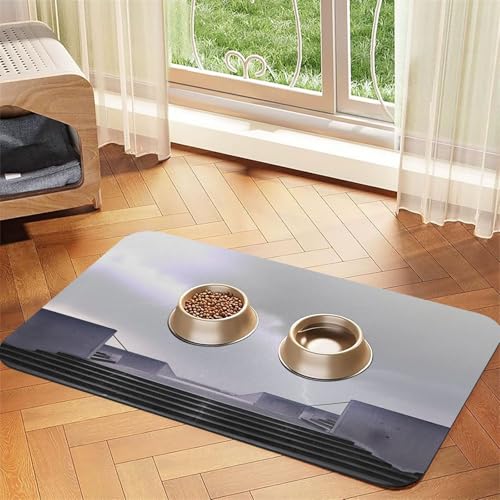 Fauvist Architecture Futtermatte für Hunde und Katzen, saugfähig, Leder, Tischdecke für Wassernapf, wasserdicht, keine Flecken, schnell trocknend, rutschfest, 60 x 40 cm Fauvist Architecture Futtermatte für Hunde und Katzen, saugfähig, Leder, Tischdecke für Wassernapf, wasserdicht, keine Flecken, schnell trocknend, rutschfest, 60 x 40 cm von YVNKHKU