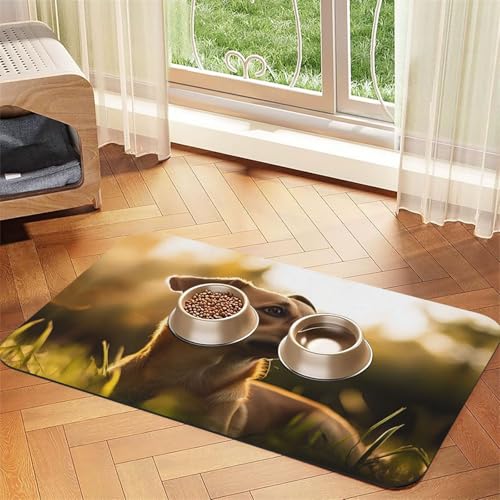 Futtermatte für Hunde und Katzen, die auf dem Gras unter Sonnenuntergang steht, saugfähige Leder-Tischdecke für Wassernapf, wasserdicht, keine Flecken, schnell trocknend, rutschfest, 60 x 40 cm von YVNKHKU